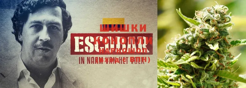 Бошки Шишки Ganja  мориарти формула  Калачинск 